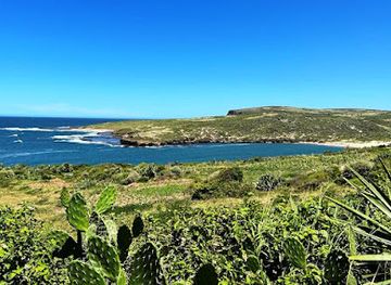 madagascar/fort-dauphin/attraction/andrahoma