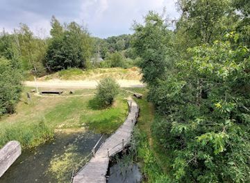 belgium/hoge-kempen-national-park/attraction/blotevoetenpad-lieteberg