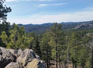 south-dakota/mount-rushmore/attraction/us-16a