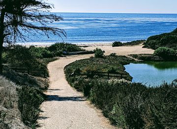 california/santa-barbara-county/attraction/coronado-butterfly-preserve-the-land-trust-for-santa-barbara-county