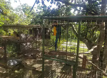 El Socorro Centre For Wildlife Conservation