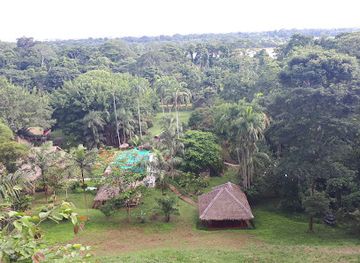 peru/tambopata-national-reserve/attraction/los-camineros-park
