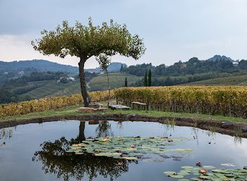 slovenia/gorizia/attraction/gravner