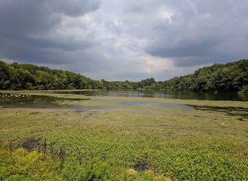 kentucky/bluegrass-region/attraction/buffalo-lake-trail