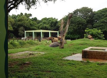 india/mysore/attraction/elephant-area