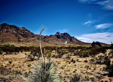 new-mexico/las-cruces/attraction/space-murals-museum-and-gift-shop