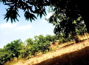 togo/sokode/attraction/kassena