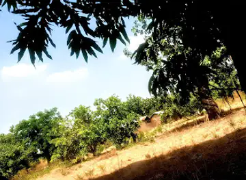Kassena