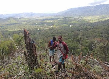 papua-new-guinea/mount-wilhelm/attraction/baiyer-river-sanctuary
