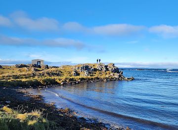 iceland/northwestern-region/attraction/illugastadir-seal-watching