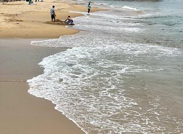 california/carmel-by-the-sea/attraction/san-carlos-beach