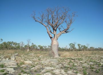 australia/the-kimberley/attraction/wunaamin-conservation-park