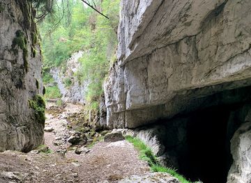 romania/bihor/attraction/pestera-de-la-caput