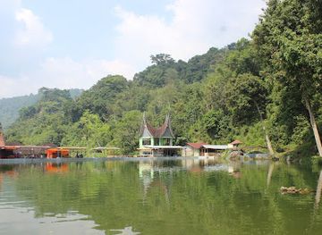 indonesia/west-sumatra/attraction/attractions-fish-sungai-janiah
