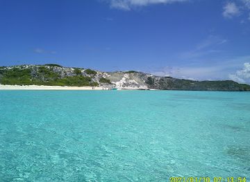 the-bahamas/andros-town/attraction/protected-rock-iguana-beach
