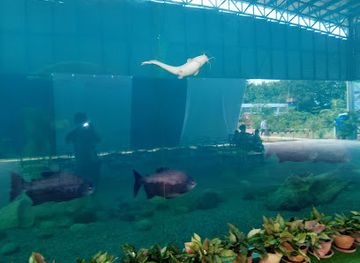 malaysia/kota-kinabalu/likas/attraction/green-connection