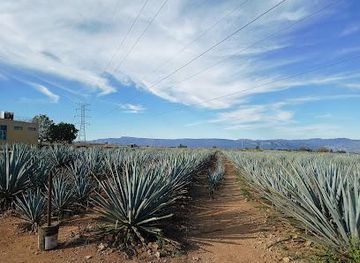 mexico/guadalajara/attraction/tequila-tres-mujeres
