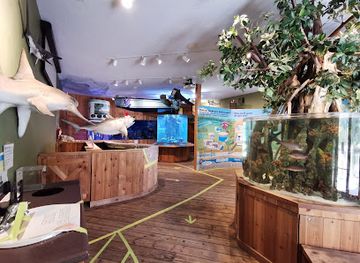 florida/jupiter/attraction/the-river-center