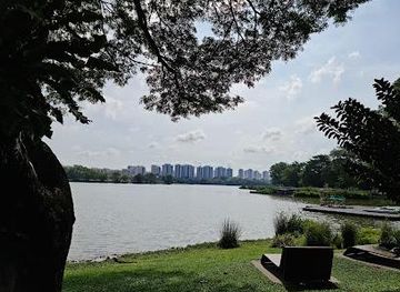 singapore/chinatown/attraction/jurong-lake-gardens