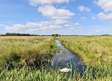 united-kingdom/southwold/attraction/carlton-oulton-marshes