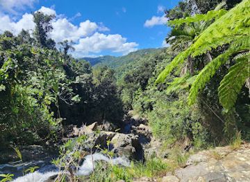 puerto-rico/south-region/attraction/bosque-estatal-de-carite