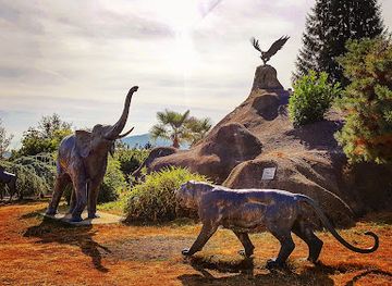 washington/bellevue/attraction/cougar-mountain-zoo