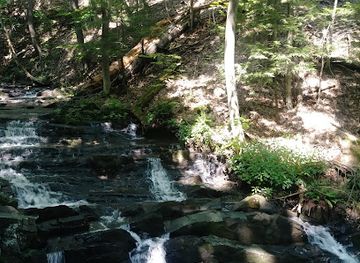 new-york/catskill-mountains/attraction/falling-waters-preserve