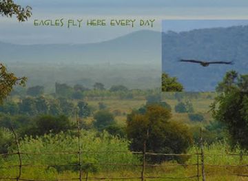 tanzania/mikumi-national-park/attraction/eagle-view-lodge