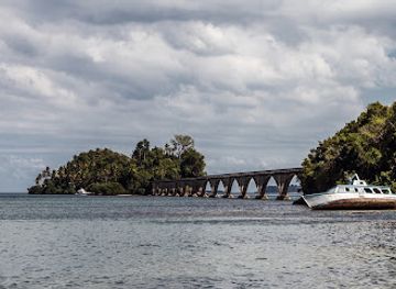 dominican-republic/los-haitises/attraction/whale-museum-of-samana-nature-center