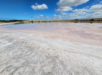 australia/coorong/attraction/coorong-pink-lake