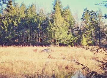 vermont/sugarbush-resort/attraction/eurich-pond-trailhead