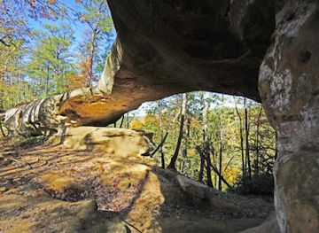 kentucky/natural-bridge-state-resort-park/attraction/princess-arch