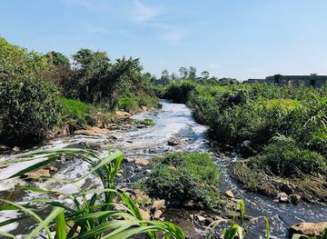 zambia/blue-lagoon-national-park/attraction/meanwood-mutumbi-waterfall