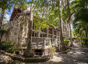 The Mayan Garden