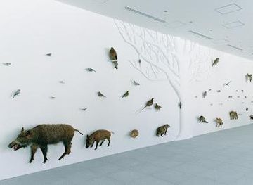 japan/tokyo/attraction/takao-599-museum