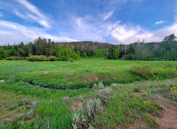 wyoming/laramie-plains/attraction/happy-jack-recreation-area-trailhead