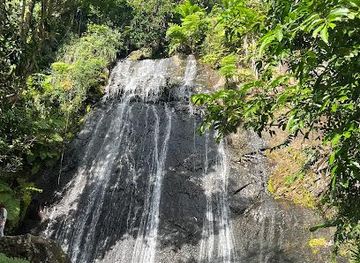 puerto-rico/bayamon/attraction/la-coca-falls
