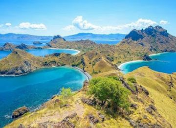 indonesia/east-nusa-tenggara/attraction/komodo-flores