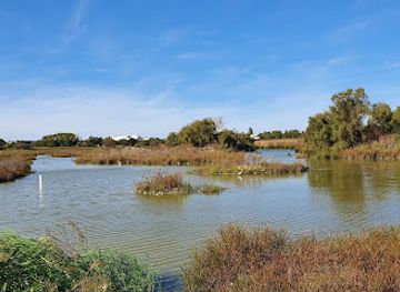 france/la-rochelle/attraction/le-marais-de-tasdon