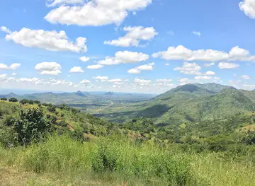 Dedza-Salima Forest Reserve
