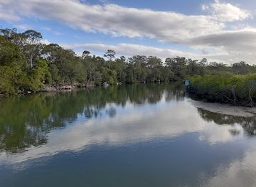 australia/noosa/attraction/weyba-mangrove-boardwalk