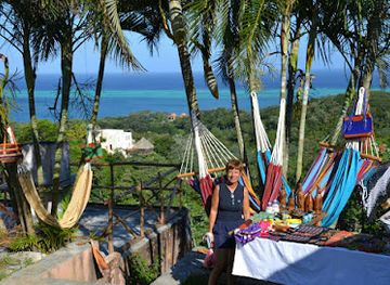 honduras/cayos-cochinos/attraction/roatan-iguana-excursions