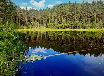 latvia/teici-nature-reserve/attraction/lilijas-ezers