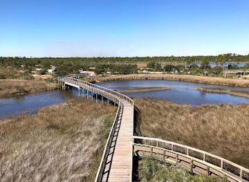 florida/pensacola-beach/attraction/big-lagoon-state-park