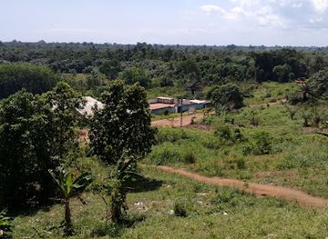 cote-d-ivoire/lacs/attraction/parc-m-ploussoue