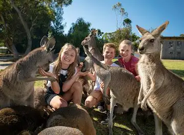 Symbio Wildlife Park