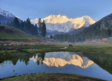 pakistan/fairy-meadows/attraction/raikot-bridge