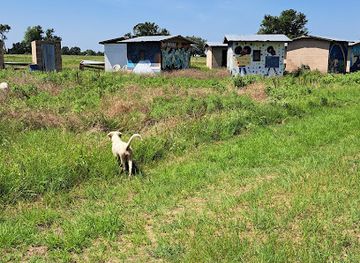 texas/blackland-prairie/attraction/blackland-ranch