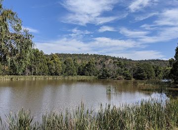 australia/yarra-valley/attraction/birdsland-reserve