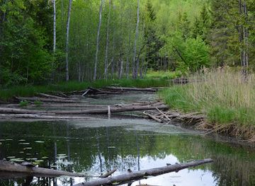 estonia/lahemaa/attraction/koprarada